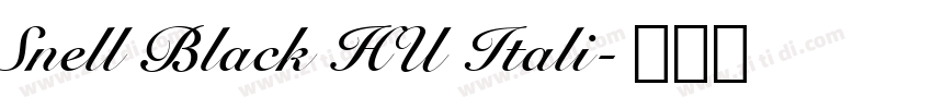 Snell Black HU Itali字体转换
